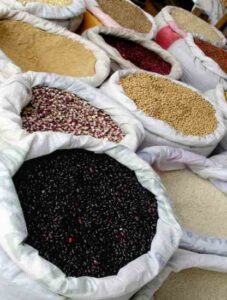A Brief History of Seeds and Plant Domestication Image